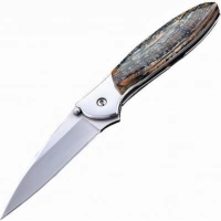 Полуавтоматический складной нож Santa Fe Kershaw Leek, сталь 14C28N, рукоять сталь с накладкой из зуба мамонта купить в Саранске